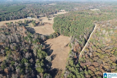 330 County Road 1055, Montevallo, AL 35115 - photo 3