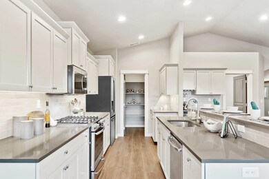 Orchard - Kitchen 3