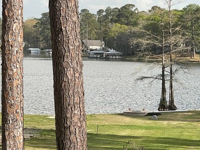 Lake Blackshear View Nearby on Lakeshore