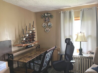 228 E 3rd St, Oglesby, IL 61348 - photo 4