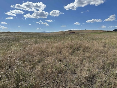 38103 Valley Hills Ln, Polson, MT 59860 - photo 6