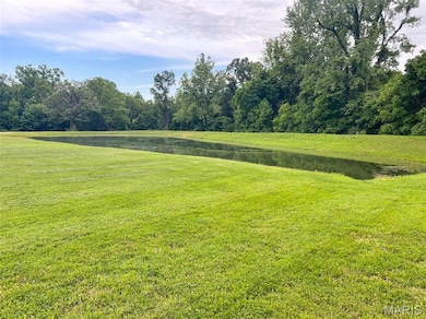 18428 Lake Circle Dr, Dexter, MO 63841 - photo 5