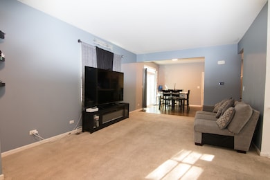 3619 Daisy Ln, Elgin, IL 60124 - photo 4