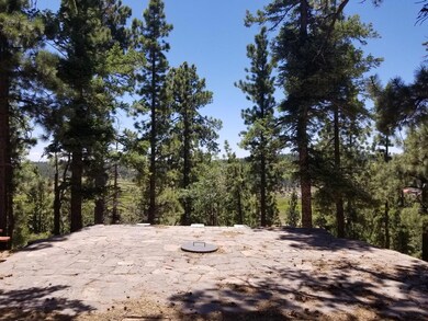 Fire Pit