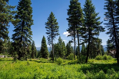 656 Aster Ct unit 67, McCall, ID 83638 - photo 2