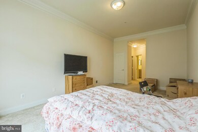 7206 Paperbark Terrace, Laurel, MD 20707 - photo 7