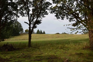 6011 Bethel Heights Rd NW, Salem, OR 97304 - photo 3