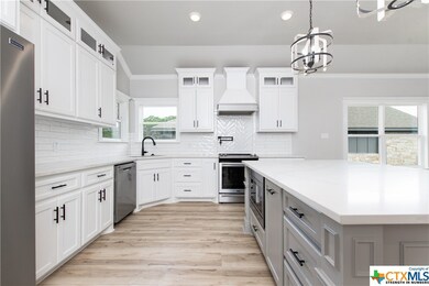 16172 Charlya Dr, Temple, TX 76502 - photo 5