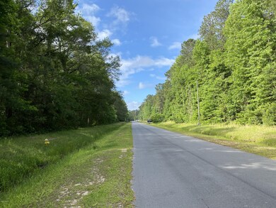 Road View