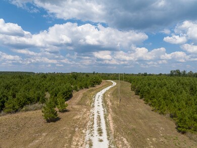 572 Robertson Rd, Lovelady, TX 75851 - photo 5