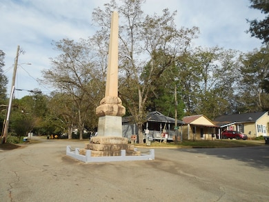 113 Oglethorpe St, Andersonville, GA 31711 - photo 3