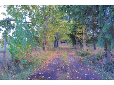 31931 SW Savage Rd, Sheridan, OR 97378 - photo 5