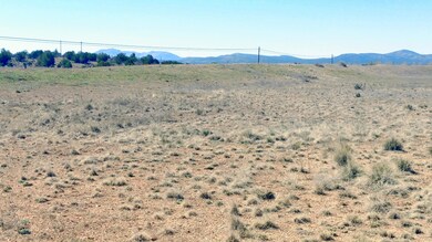 0 W Prescott Ranch Rd unit 1019858, Paulden, AZ 86334 - photo 4