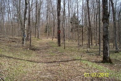 Another View of property with driveway