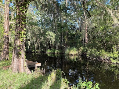 3323 Prices Bridge Ln, Walterboro, SC 29488 - photo 2