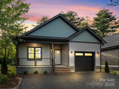 314 Gallimore Rd unit 1, Brevard, NC 28712 - photo 6