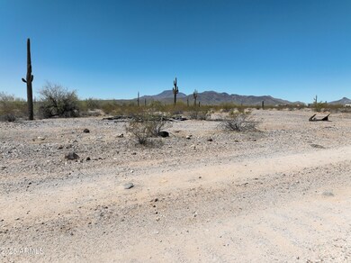 0 W White Wing Rd unit 10 6888001, Maricopa, AZ 85139 - photo 7
