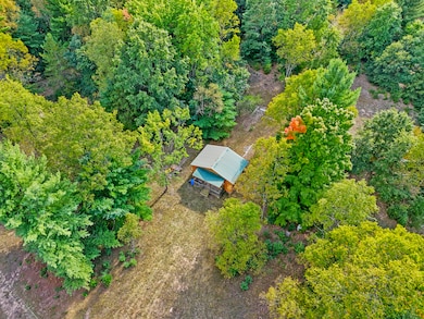 1464 N Raymond Rd, Luther, MI 49656 - photo 2