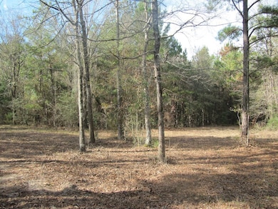 778 Hortons Hollow Rd, Lufkin, TX 75904 - photo 3