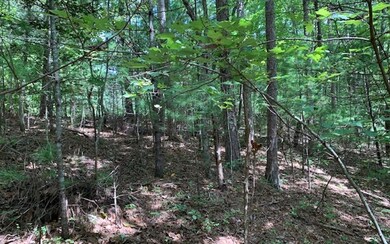 LT 10 Dover Highlands Trail, Ellijay, GA 30540 - photo 3