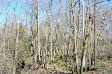 20  Acres on Cloverland Rd, Conrath, WI 54731 - photo 7