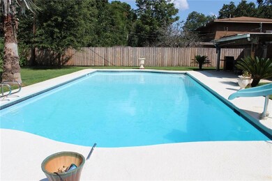 GUNITE POOL: BEAUTIFUL POOL. READY FOR A SWIM?