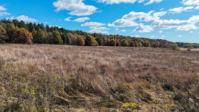 7311 Riverside Rd, Gratiot, WI 53541 - photo 3