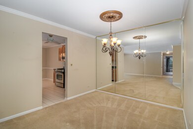 2146 Sunderland Ct unit 101A, Naperville, IL 60565 - photo 5