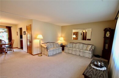 Living room featuring light carpet