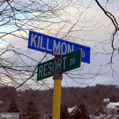 693 Killmon Rd, Basye-Bryce Mountain, VA 22810 - photo 4