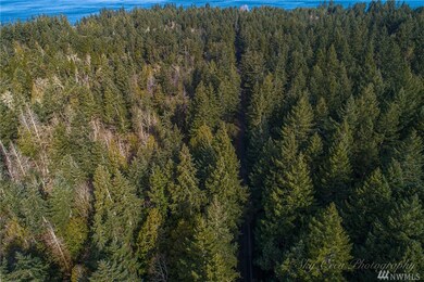 0 Otso Point Rd unit 1609342, Anderson Island, WA 98303 - photo 5