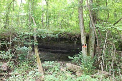 0 Freeman Fielder Rd, Stewart, TN 37175 - photo 3