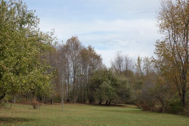 3521 W 40th St unit 90 acres, Fremont, MI 49412 - photo 5