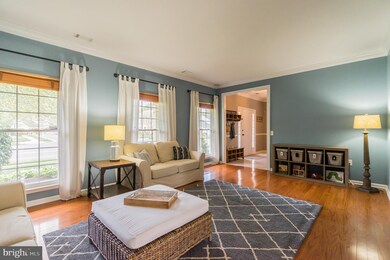 7035 Bedrock Rd, Alexandria, VA 22306 - photo 7