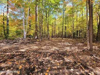 L6 Mountain Path, Johnsburg, NY 12853 - photo 7