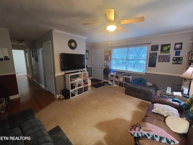 5202 Millet Ln, Knoxville, TN 37918 - photo 3