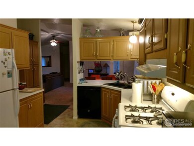 431 Zante Way, Lochbuie, CO 80603 - photo 5