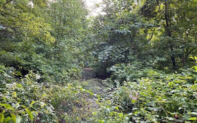 Additional View