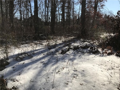 31 Starr Ln, Rehoboth, MA 02769 - photo 3