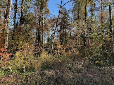 0 Apache Dr unit RTC3043137, Jackson, GA 30233 - photo 4