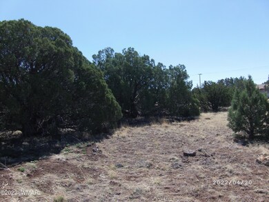 buy-land-in-show-low-az-3