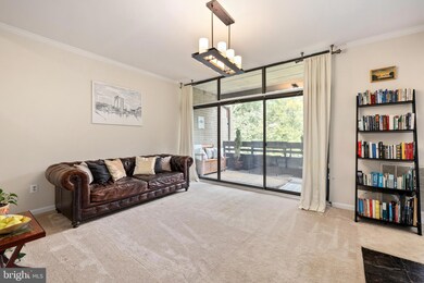 11556 Rolling Green Ct unit 201, Reston, VA 20191 - photo 4