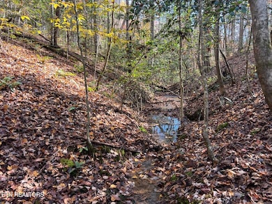 523 Honey Creek Loop Rd, Allardt, TN 38504 - photo 4