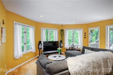 Bright Living Room with Wall of Windows