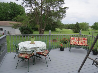 View from the back door