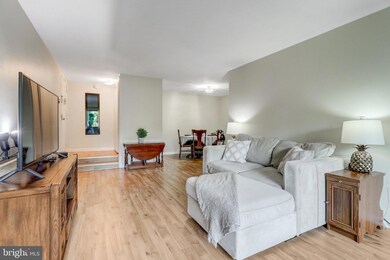 11200 Chestnut Grove Square unit 304, Reston, VA 20190 - photo 4