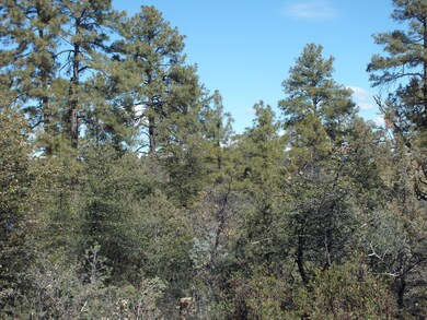 711 N Foothills East Circle