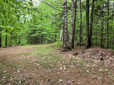 140 Winthrop Dr, Shelburne, NH 03581 - photo 3