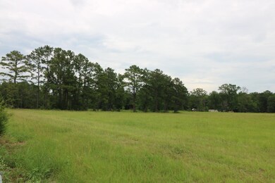 AB985 TR36-1 County Road 1028, Newton, TX 75966 - photo 2