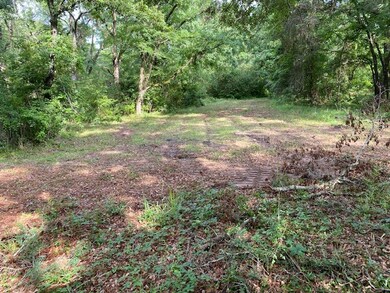 TBD Fm 59, Athens, TX 75148 - photo 2